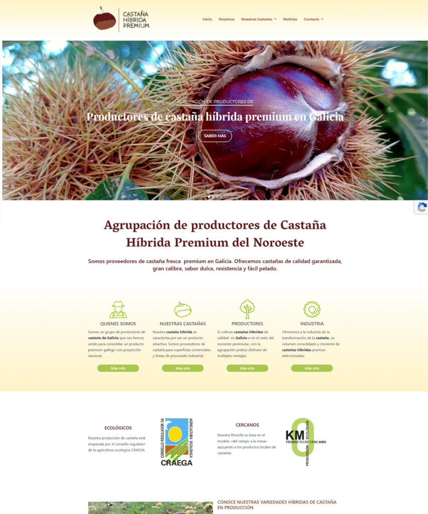 Diseño de página web para Casprenor, productores de castaña híbrida premium en Galicia